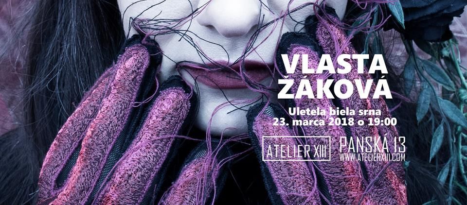 Uletelabiela srna  Vlasta Žáková